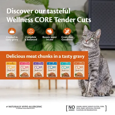 Wellness CORE Tender Cuts: cooked in gravy, complete and balanced, boosts water intake, grain-free. Delicious meat chunks. Naturally hypo-allergenic. No added grains, gluten, corn, soya or dairy.