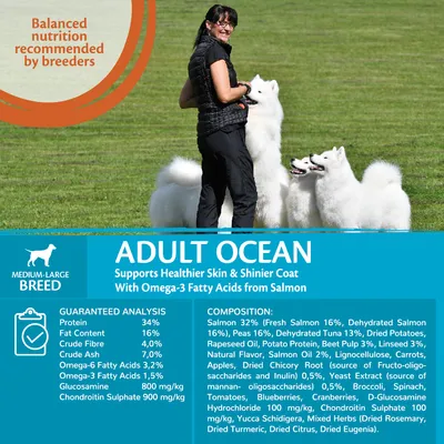 Adult Ocean food for medium-large breeds. Supports healthier skin and shinier coat with omega-3 from salmon. Guaranteed analysis: protein 34%, fat 16%, fibre 4%, ash 7%. Key ingredients listed.