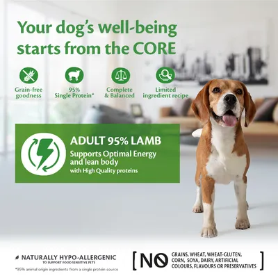 Adult 95% lamb, grain-free, single protein, complete and balanced, limited ingredient recipe. Supports optimal energy and lean body. No grains, wheat, gluten, corn, soya, dairy or additives.