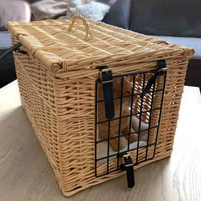 Transportbur i flätad korg med svart metallgaller och spännen, katt synlig inuti buren. Handtag upptill.