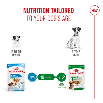 Royal Canin feeding recommendation: Mini Puppy for 2–10 months, from 10 months Mini Adult up to 7 years, each up to 10 kg. Illustration of both food varieties and age indications.