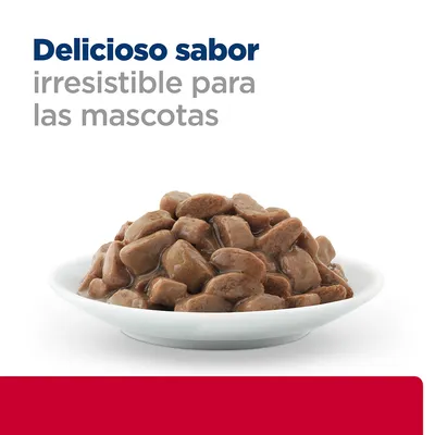 Plato con trozos de comida húmeda para mascotas y texto: Delicioso sabor irresistible para las mascotas.