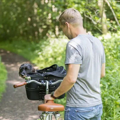 Petit chien noir assis dans un panier de vélo noir fixé au guidon, personne poussant le vélo sur un chemin forestier. Panier avec fermeture éclair visible.