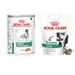 Royal Canin Vet Canine Satiety Weight Management Mousse + Satiety Snacks grátis!