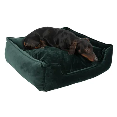 Sort gravhund ligger i en firkantet, mørkegrøn hundeseng med bløde kanter og pude. Materiale ligner velour eller stof. Ingen synlige mærker eller tekst.