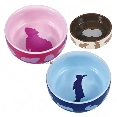 Trixie Ceramic Food Bowl for Small Pets