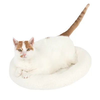 White cat with brown spots lying in a white, round cat bed made of soft material.