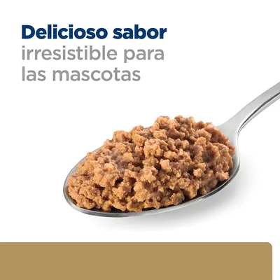 Texto: Delicioso sabor irresistible para las mascotas. Imagen de una cuchara metálica con comida húmeda para mascotas.
