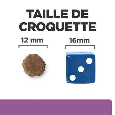 Taille de croquette : comparaison visuelle entre une croquette ronde de 12 mm et un dé bleu de 16 mm, texte visible « TAILLE DE CROQUETTE »