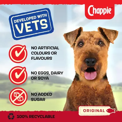 Developed with vets. No artificial colours or flavours, no eggs, dairy or soya, no added sugar. 100% recyclable. Original.