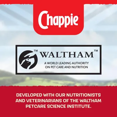 Chappie developed with nutritionists and veterinarians of the Waltham Petcare Science Institute, a world leading authority on pet care and nutrition.