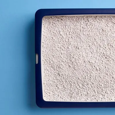 Open kattenbak met lichtkleurig kattengrit in een rechthoekige blauwe bak, grit is fijnkorrelig en egaal verdeeld.