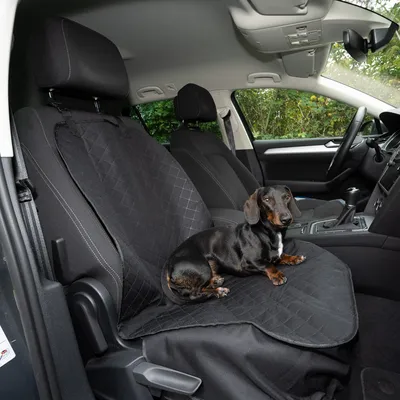 Schwarze Autositzabdeckung mit gestepptem Design, geeignet für den Schutz vor Tierhaaren und Schmutz. Abgebildet ist ein Hund auf der Abdeckung im Auto.