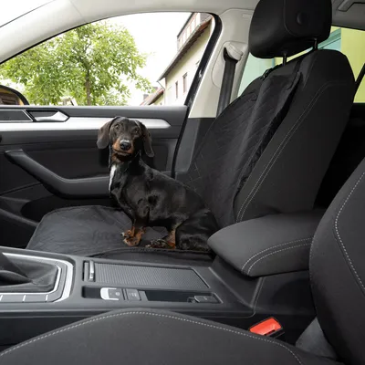 Schwarze Autositzabdeckung mit gestepptem Design, auf dem ein Hund sitzt. Schutz für Autositze vor Schmutz und Tierhaaren.