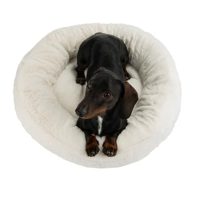 Petit chien noir allongé dans un panier rond en tissu peluche blanc, vu de dessus. Aucun texte ou marque visible.