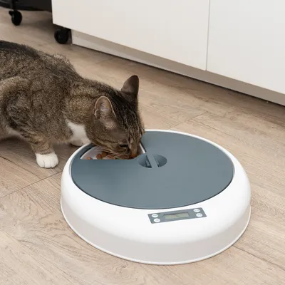 Automatische voerdispenser met digitaal display, kat eet uit een van de open vakken. Geschikt voor nauwkeurige portiecontrole.