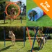 Complete Set - Outdoor Agility Fun & Sport