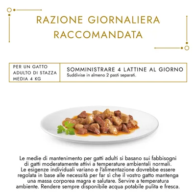 Razione giornaliera raccomandata: per un gatto adulto di stazza media 4 kg, somministrare 4 lattine al giorno suddivise in almeno 2 pasti separati. Immagine di cibo umido su piatto.