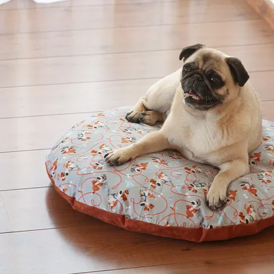 Coussin rond pour chien avec housse à motifs de chiens et os, tissu gris et bordure marron, un carlin allongé dessus. Sol en bois visible.