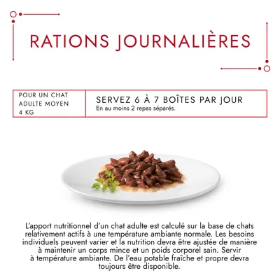 Rations journalières pour un chat adulte moyen 4 kg : servez 6 à 7 boîtes par jour en au moins 2 repas séparés. Photo d’une assiette de nourriture humide pour chat.