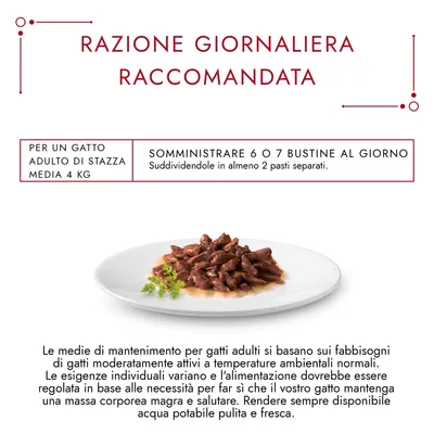 Razione giornaliera raccomandata: per un gatto adulto di stazza media 4 kg, somministrare 6 o 7 bustine al giorno suddivise in almeno 2 pasti separati. Immagine di cibo umido su piatto.