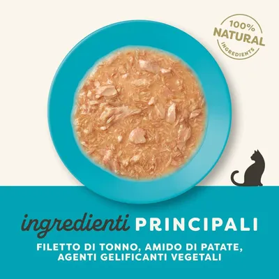 Applaws in salsa 12 x 70 g