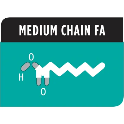 Текст: MEDIUM CHAIN FA. Схематично изображение на молекула със средноверижни мастни киселини, с означения H и O.