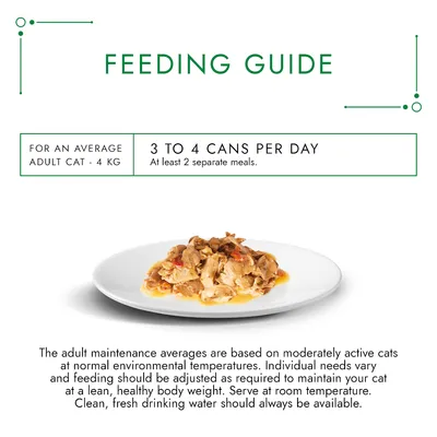 Feeding guide: for an average adult cat 4 kg, 3 to 4 cans per day, at least 2 separate meals. Plate of wet cat food shown. Additional feeding advice in small print.