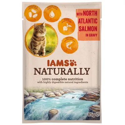 Sachet IAMS Naturally pour chat, 85 g, avec saumon de l’Atlantique Nord en sauce. Texte visible : vitamine E, oméga 3 & 6, fibres, protéines. Image d’un chat et rivière.