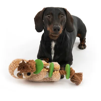 Hund spielt mit Plüschspielzeug in Faultierform, kombiniert mit grünen Filzscheiben und braunen Seilknoten.