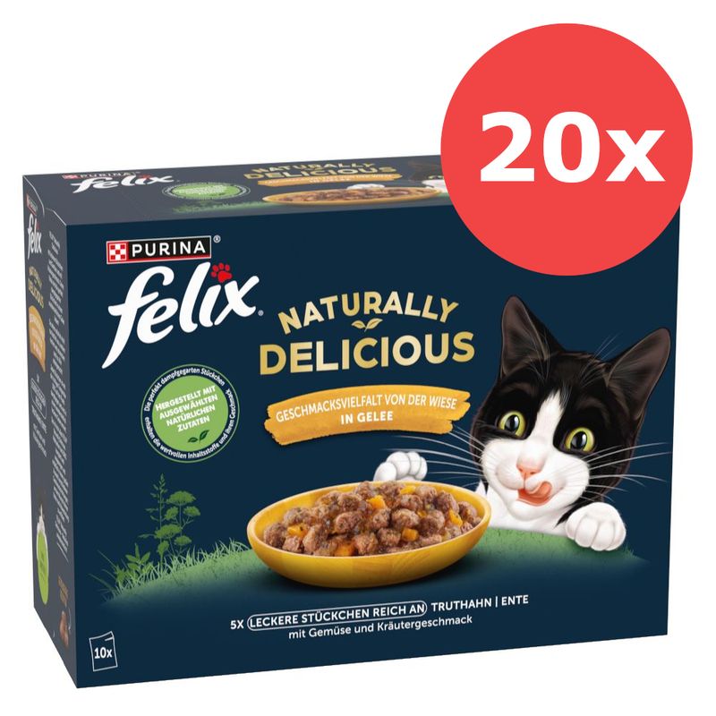 Sparpaket Felix Naturally Delicious 20 x 80 g