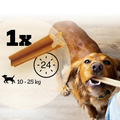 One chew stick per day for dogs weighing 10 to 25 kg, shown with a dog chewing the product and a clock icon indicating daily use.