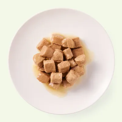 Primo piano di pezzi di carne marrone in salsa su un piatto bianco, mostrati come esempio di alimento per animali.