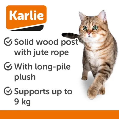 Karlie Shima škrabadlo, montáž na stěnu