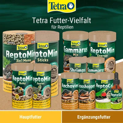 Tetra Futter-Vielfalt für Reptilien. Hauptfutter: ReptoMin Sticks, Baby, Junior, Energy, Gammarus Mix. Ergänzungsfutter: Shrimps, Anchovies, Grasshoppers, ReptoCal, ReptoSol.