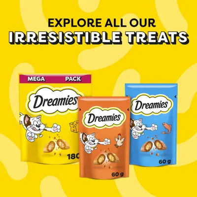 Big Pack Dreamies Cat Treats 200g
