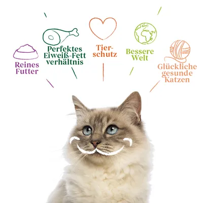 Reines Futter, perfektes Eiweiss-Fett-Verhältnis, Tierschutz, bessere Welt, glückliche gesunde Katzen. Illustration mit Katze und Symbolen.