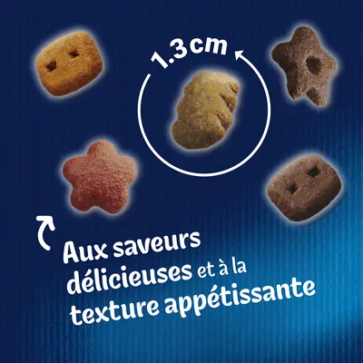 Croquettes de différentes formes, taille indiquée 1,3 cm. Texte visible : Aux saveurs délicieuses et à la texture appétissante.