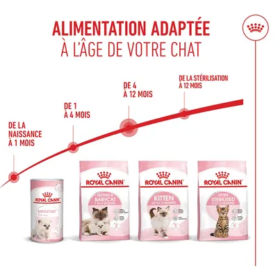Royal Canin Recommandation d'alimentation pour chats : Lait Babycat, naissance à 1 mois, Mother & Babycat, 1-4 mois, Kitten, 4-12 mois, Kitten Sterilised, 6-12 mois. Royal Canin Recommandation d'alimentation pour chats : Lait Babycat, naissance à 1 mois, Mother & Babycat, 1-4 mois, Kitten, 4-12 mois, Kitten Sterilised, 6-12 mois.