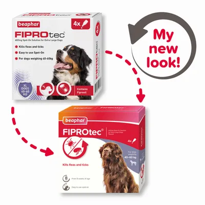 Packaging change for FIPROtec spot-on solution, kills fleas and ticks, easy to use, for dogs weighing 40-60kg, contains fipronil. New look highlighted with arrow.