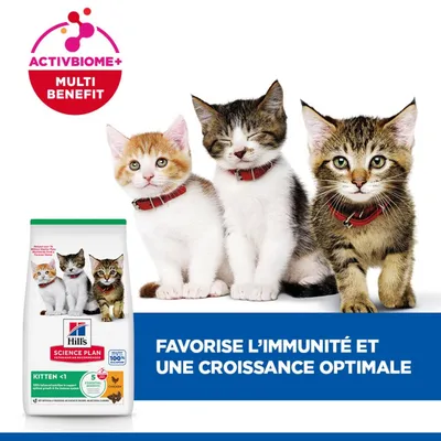 Hill's Science Plan Kitten <1 au poulet, ActivBiome+ Multi Benefit. Soutient l'immunité et une croissance optimale chez les chatons.