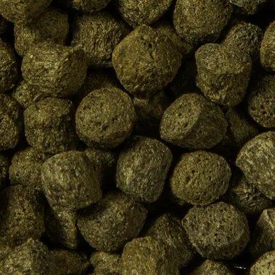 Close-up van bruine, cilindervormige brokjes diervoeding zonder zichtbaar merk of verpakking.