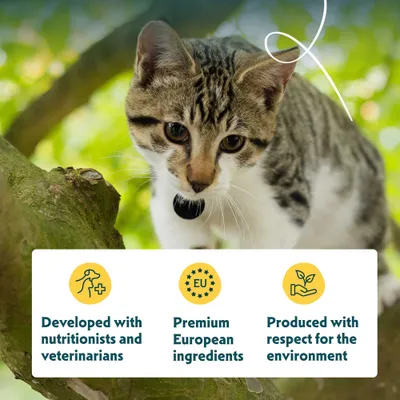 Developed with nutritionists and veterinarians, premium European ingredients, produced with respect for the environment. Developed with nutritionists and veterinarians, premium European ingredients, produced with respect for the environment.