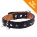 Collier en cuir Heim Stars, noir pour chien