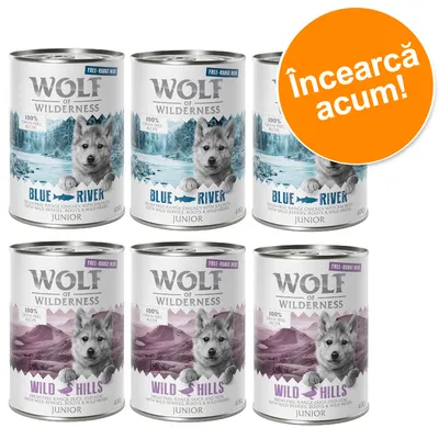 Wolf of Wilderness Junior conserve: 3x Blue River, 3x Wild Hills, 400g. Text portocaliu: Încearcă acum! Etichete vizibile: 100% grain-free recipe, free-range meat. Wolf of Wilderness Junior conserve: 3x Blue River, 3x Wild Hills, 400g. Text portocaliu: Încearcă acum! Etichete vizibile: 100% grain-free recipe, free-range meat.