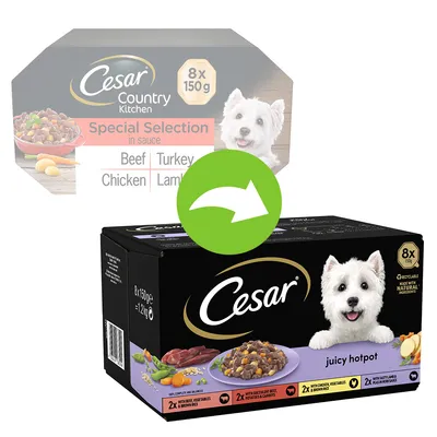 Cesar Les Recettes de Campagne Sélection en sauce pour chien