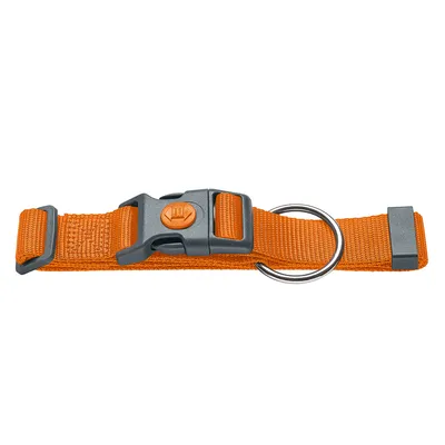 Collare arancione in nylon con chiusura a scatto e anello in metallo.