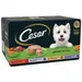 Cesar Garden Terrine Trays Mixed Pack in Loaf