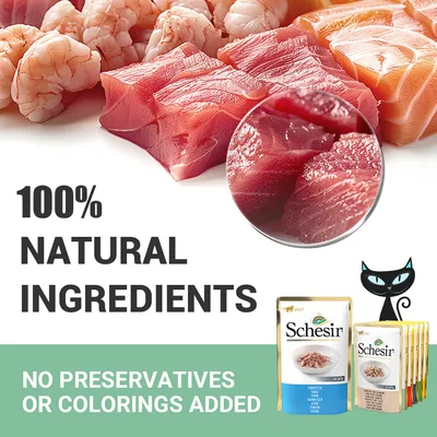 100% NATURAL INGREDIENTS. NO PRESERVATIVES OR COLORINGS ADDED. Schesir. Tekst na engleskom jeziku, prikaz sirovih komada ribe i škampi te pakiranja hrane za kućne ljubimce.