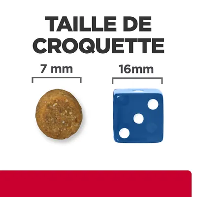 Taille de croquette : diamètre 7 mm à côté d’un dé bleu de 16 mm pour comparaison visuelle. Texte visible : TAILLE DE CROQUETTE, 7 mm, 16 mm.